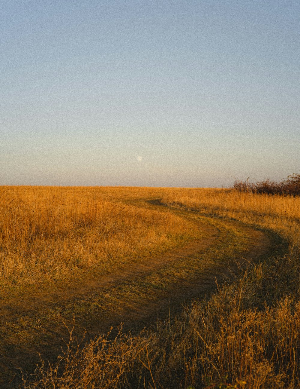 a dirt road running through a dry grass field