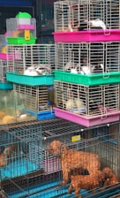 A variety of animals are inside stacked cages, including small dogs and rabbits. The cages are colorful, with prominent pink, green, and blue hues. The animals are mostly lying down and the setup resembles a market or pet shop environment.
