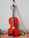A wooden violin with a glossy finish rests upright against a light green wooden fence. The violin is paired with a bow leaning beside it. The ground is covered with dry leaves and small plants sprouting next to the violin.