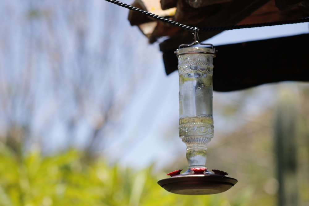 a glass bird feeder hanging from a tree