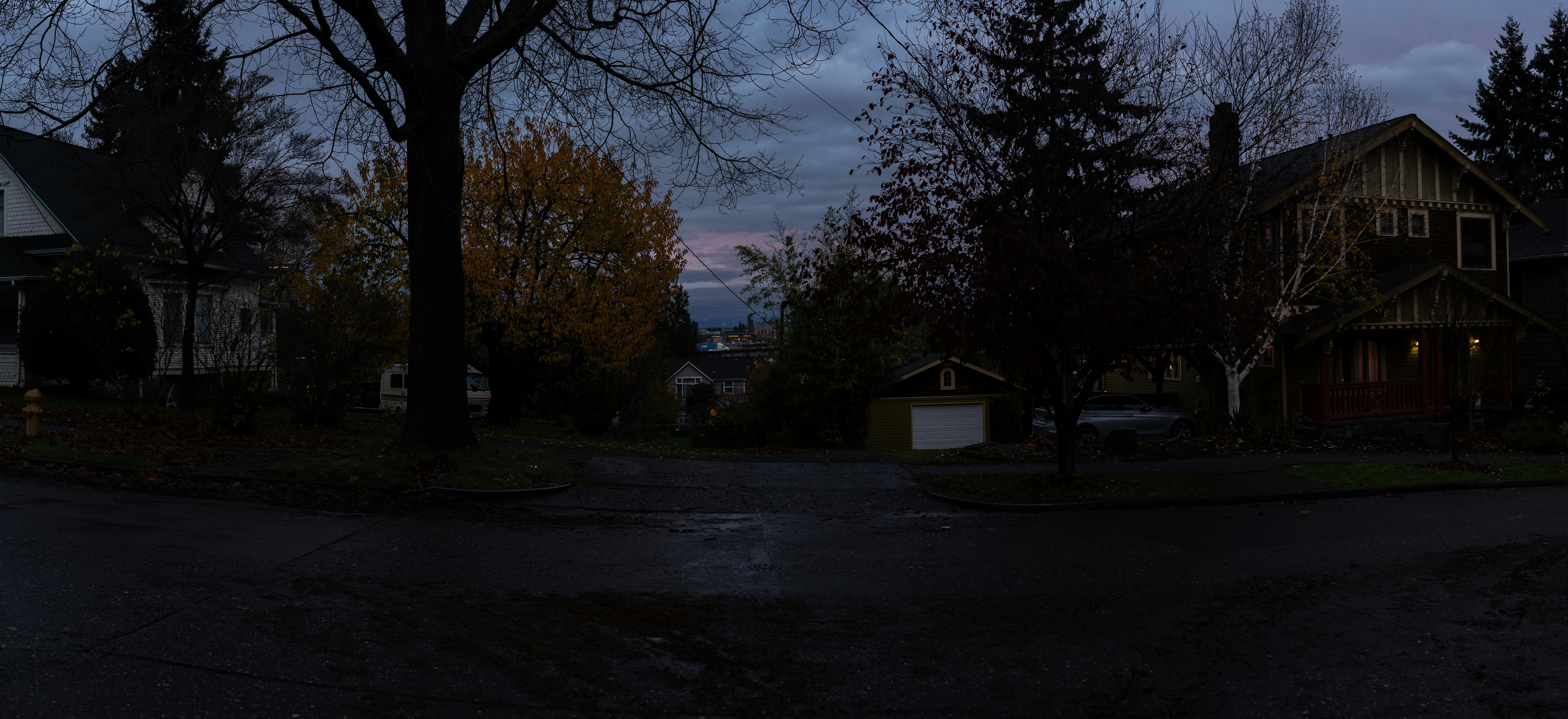 a dark street with houses and trees in the background