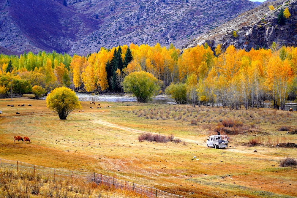 a truck parked in a field next to a mountain