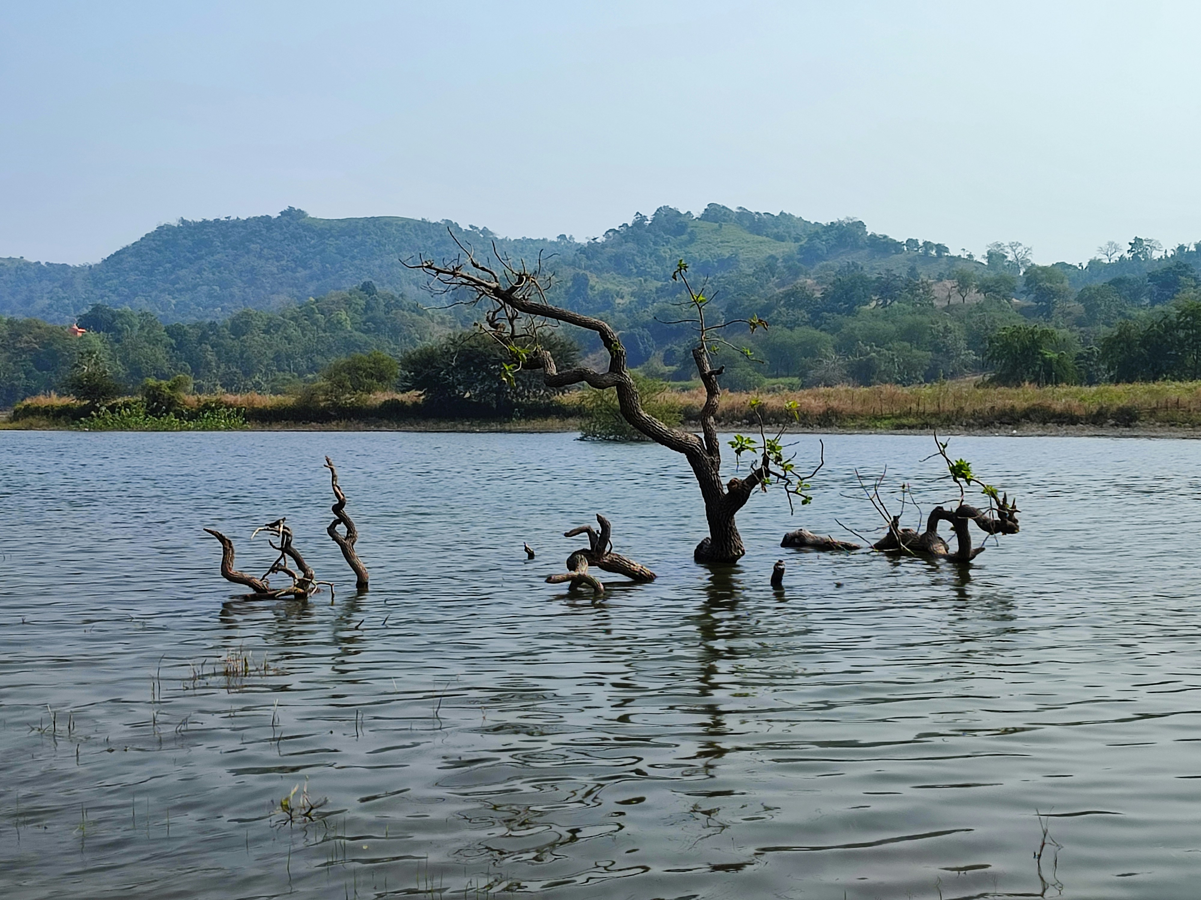 Photo by vatsal_patel_9