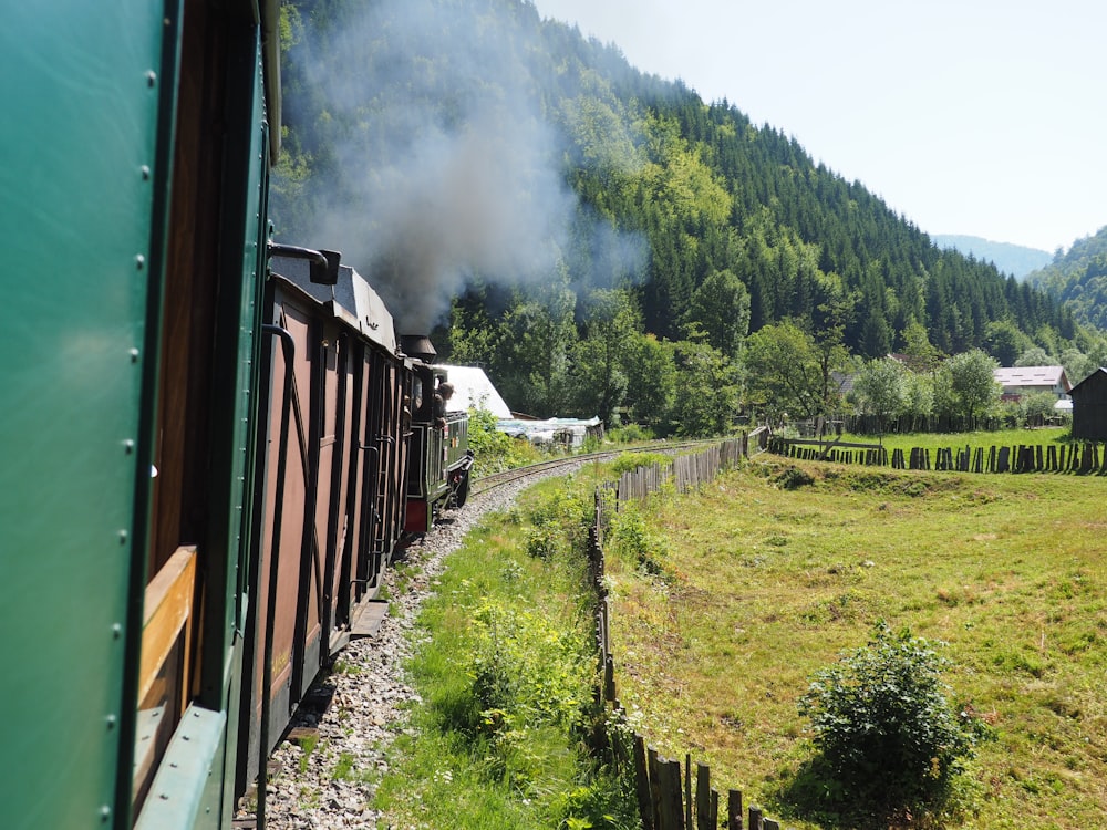 a train traveling through a lush green countryside