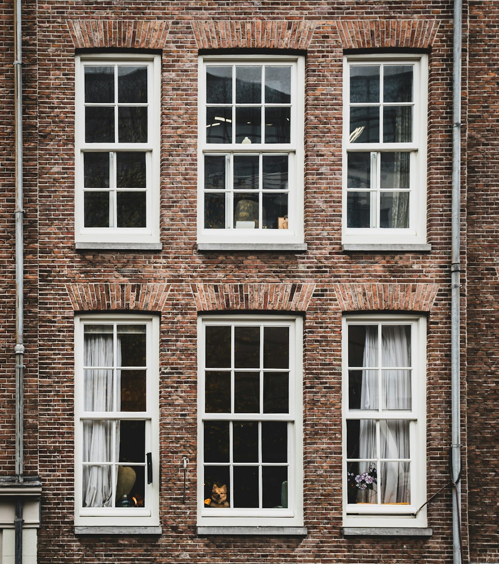 a brick building with four windows and a cat sitting in the window