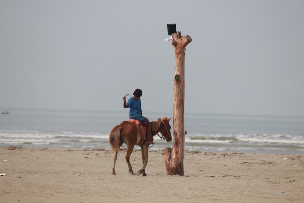 a person riding a horse on a beach