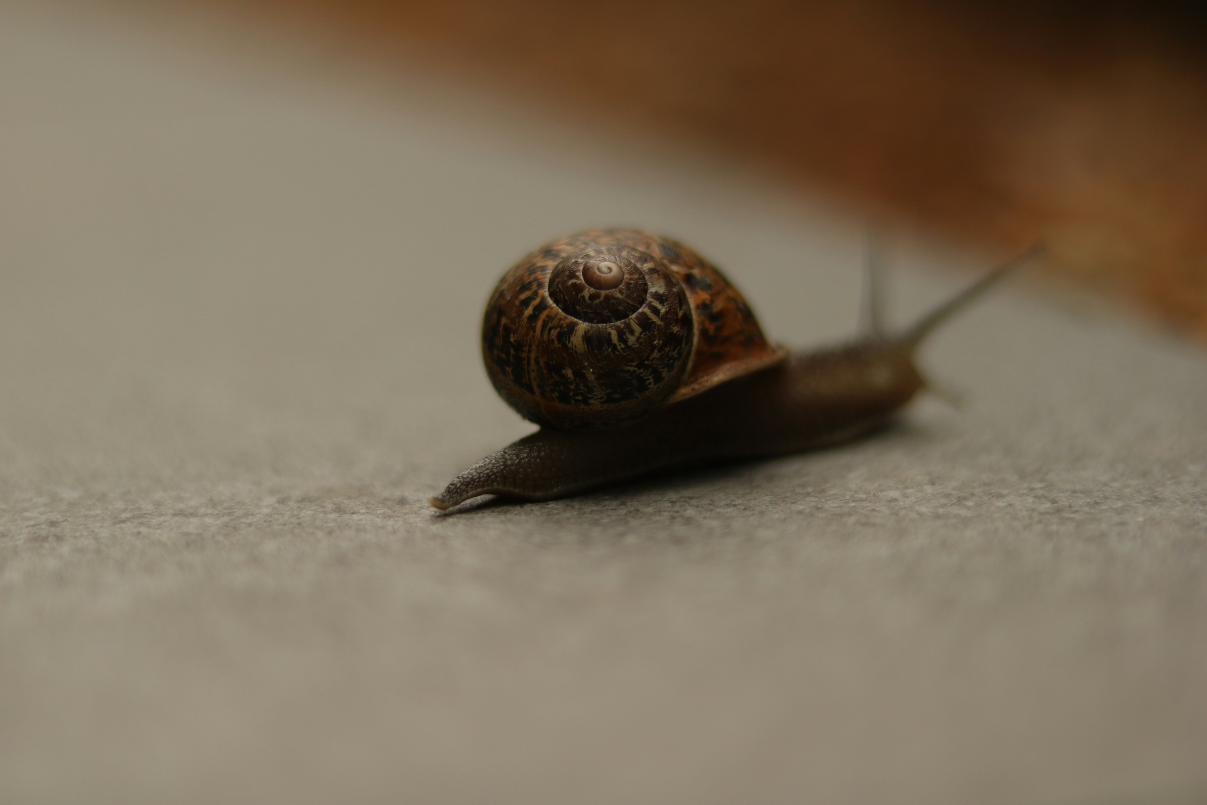 Photo by allysphotos