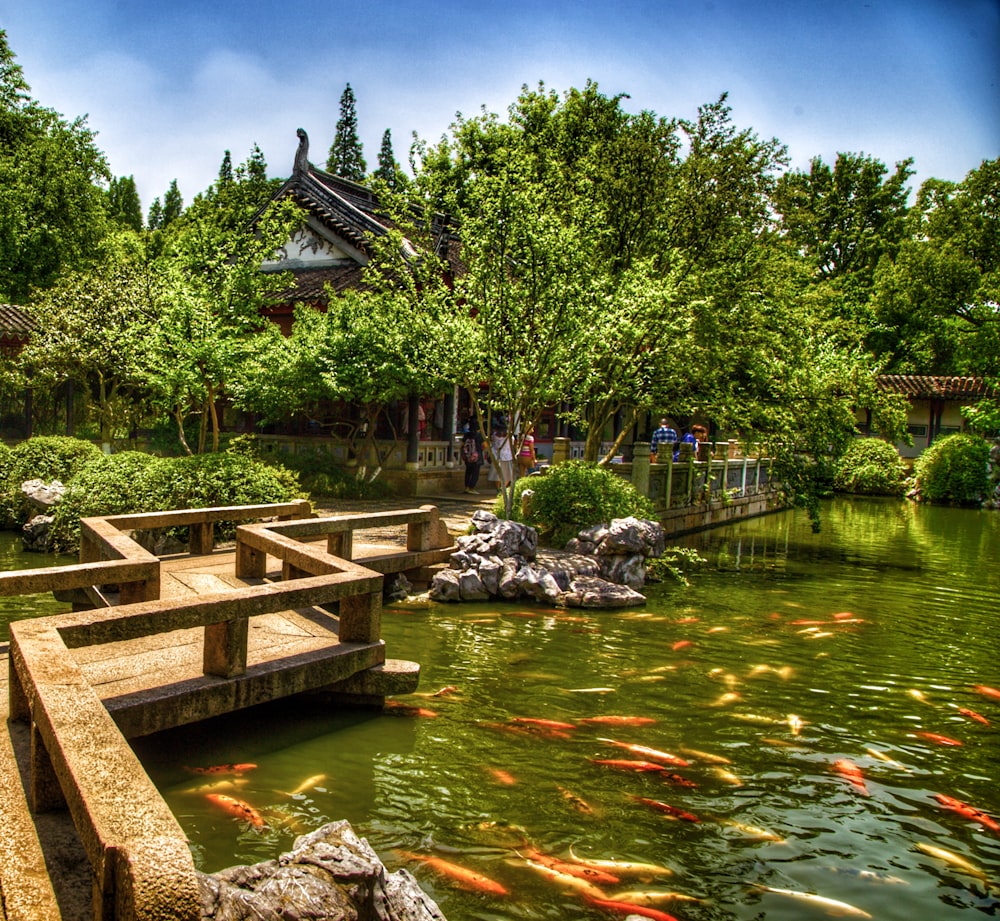 a pond filled with lots of fish next to a wooden bridge
