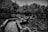 A serene, traditional garden featuring a stone walkway over a reflective pond. Lush trees and shrubbery surround the area, creating a peaceful, natural setting. A traditional structure with a tiled roof is nestled among the greenery.