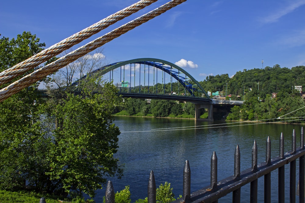 a bridge over a body of water near a forest