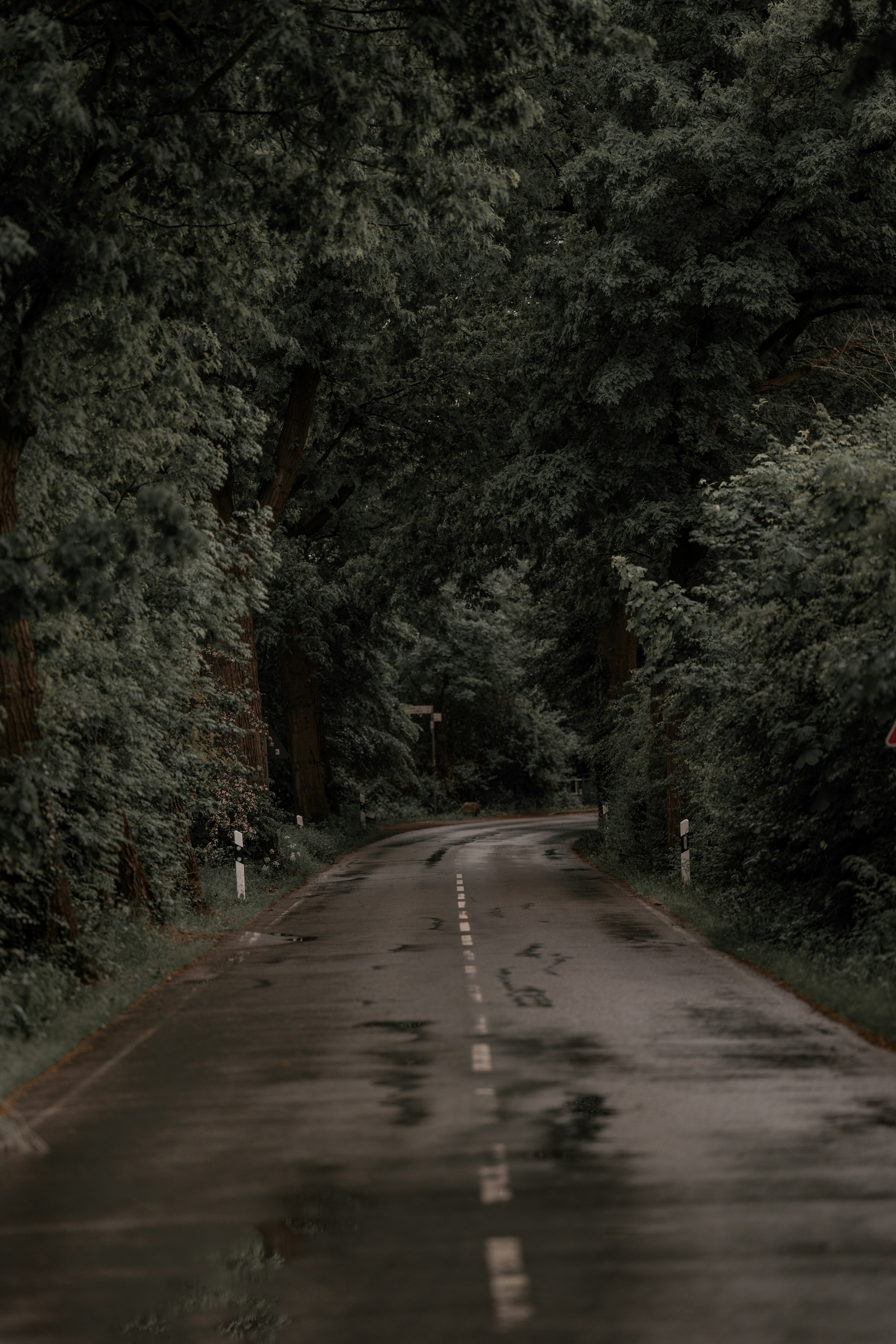 Photo by omarvellous14