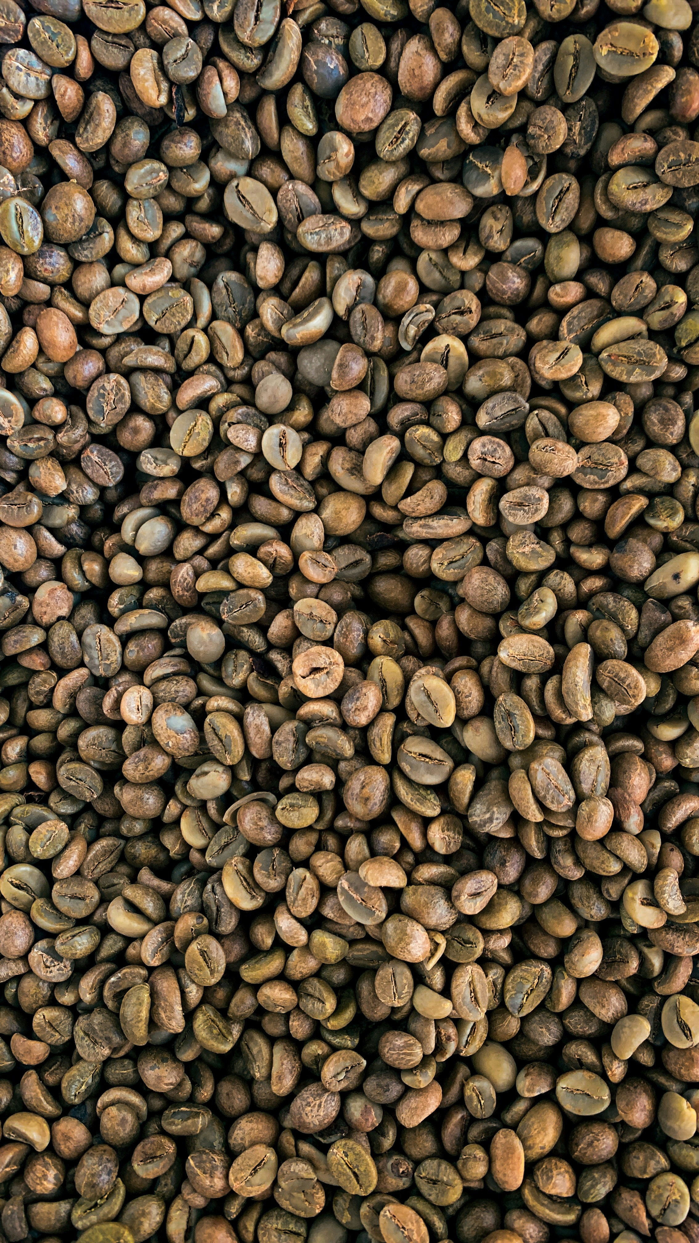 Close-up of coarse coffee grounds with various textures
