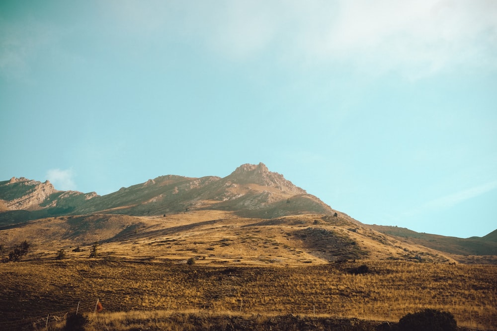 a grassy field with a mountain in the background