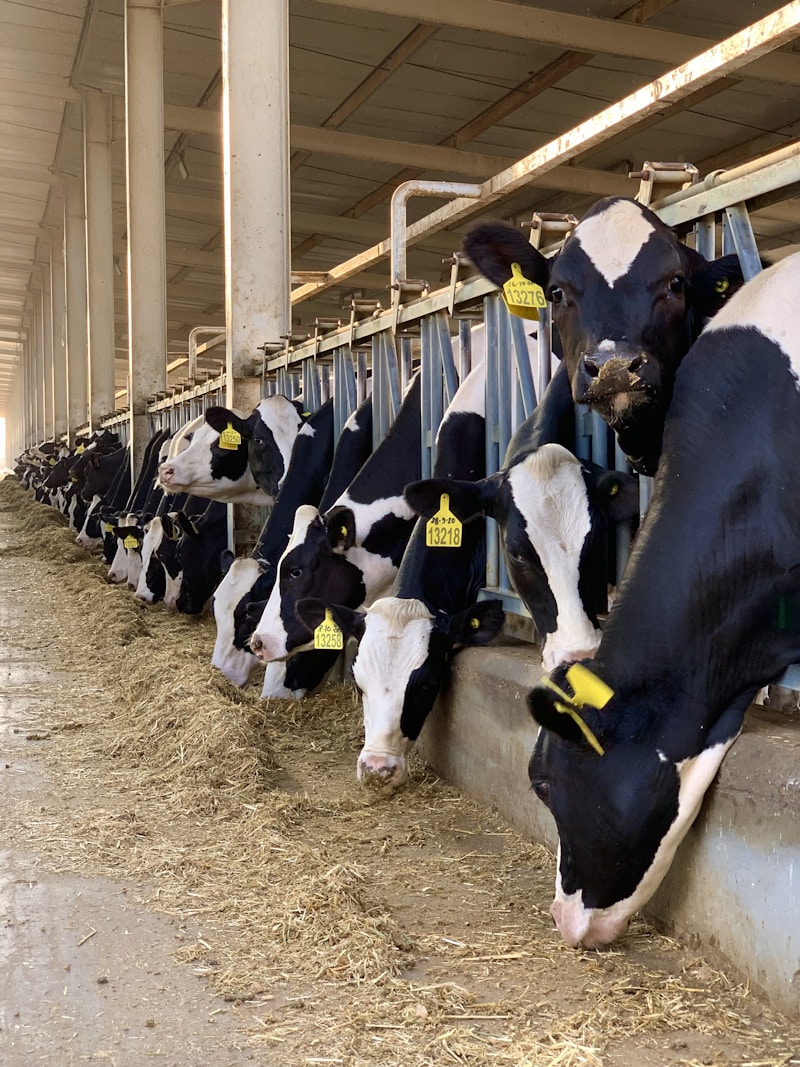 Agent / Agente de diagnostic et de contrôle en agriculture