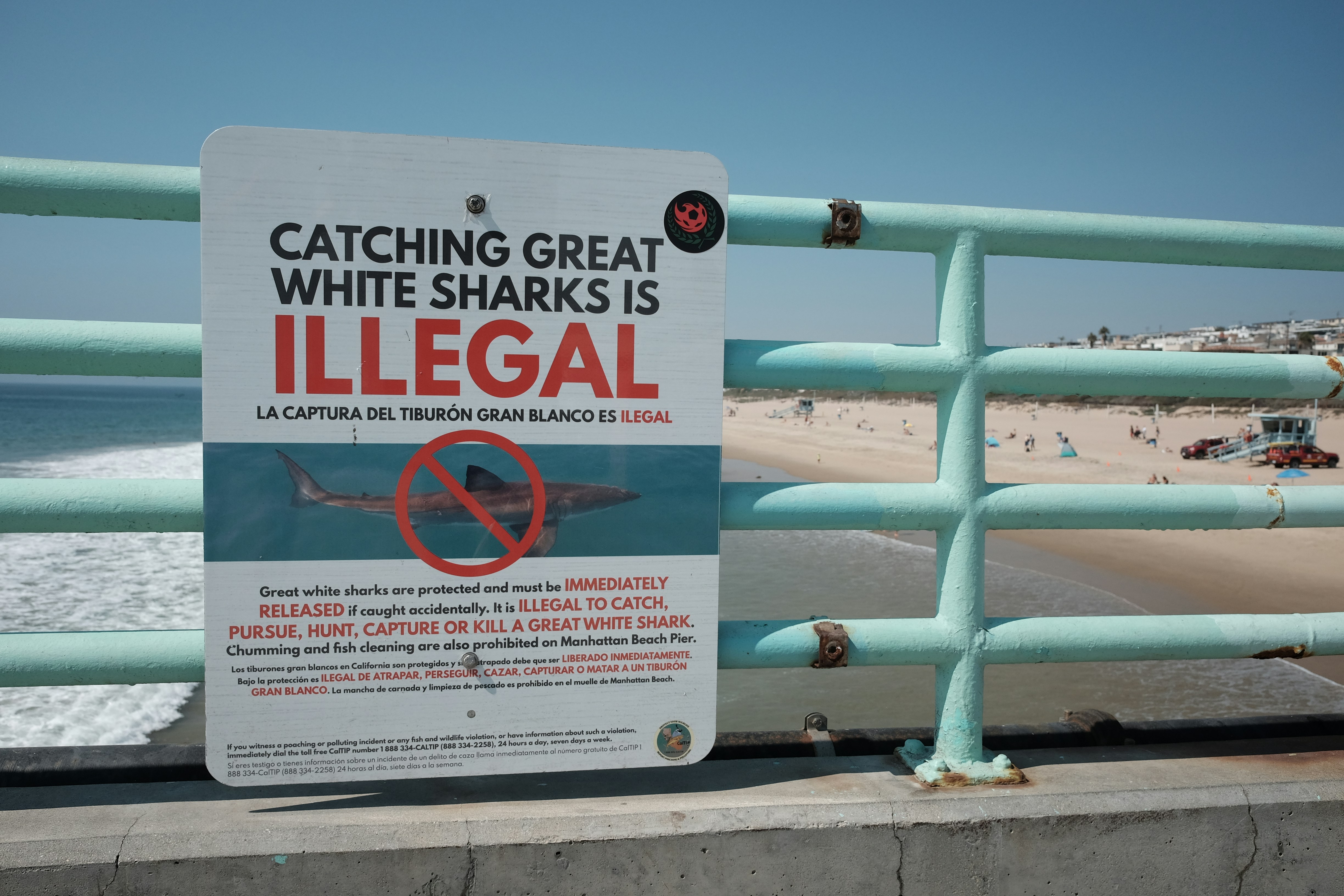 a sign on a fence warning people to not feed the sharks