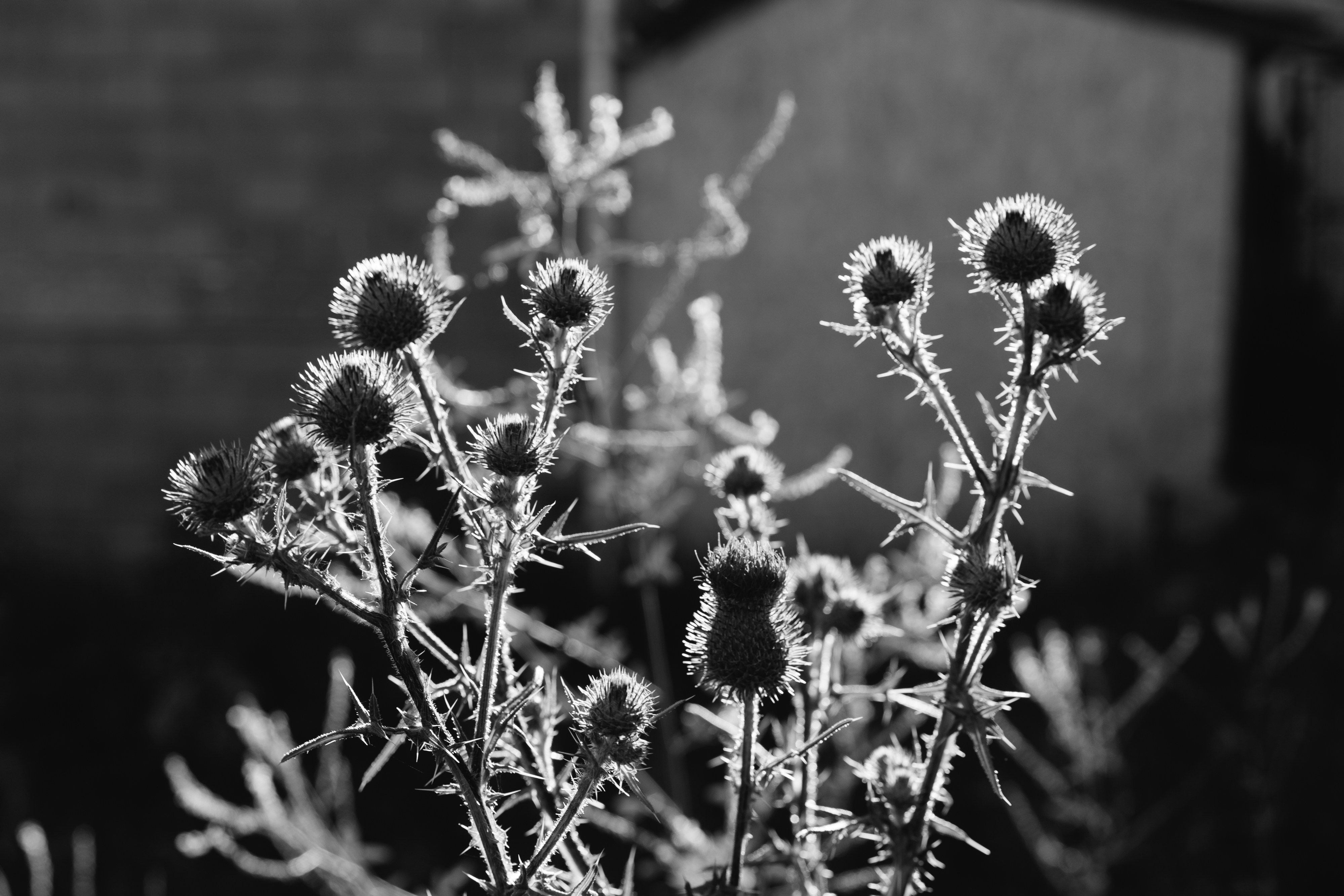 Photo by markuswinkler