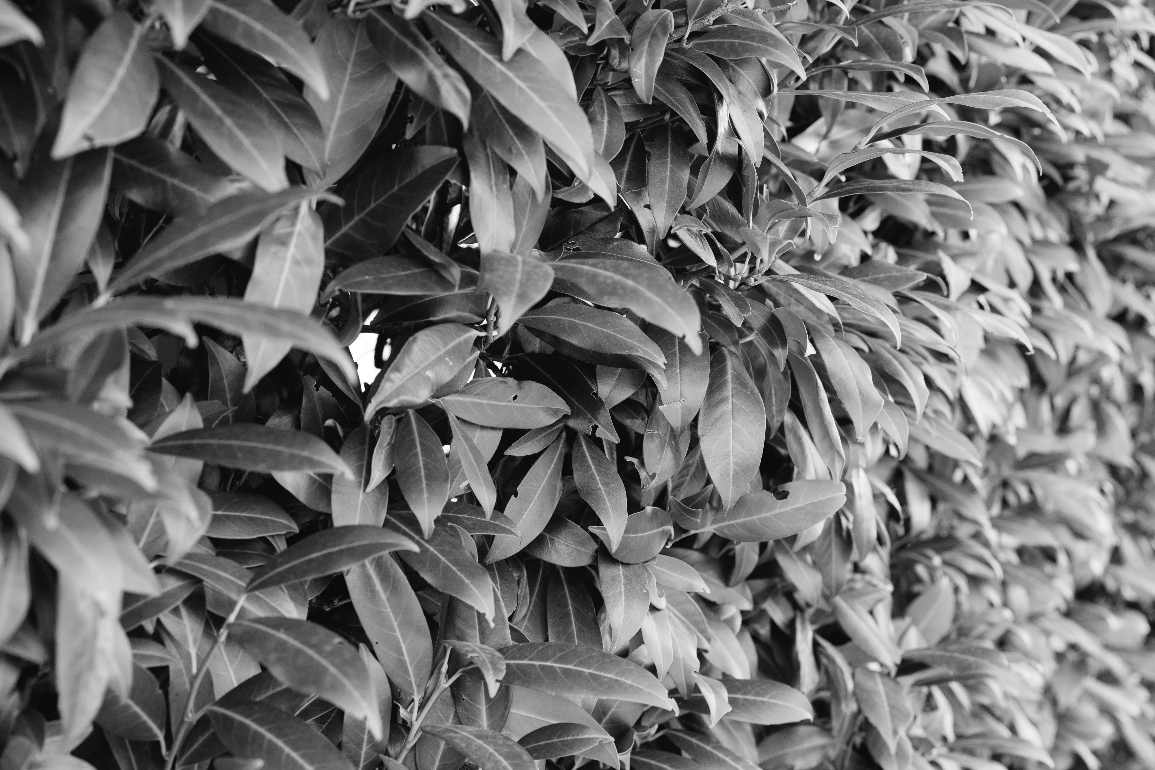 Photo by markuswinkler