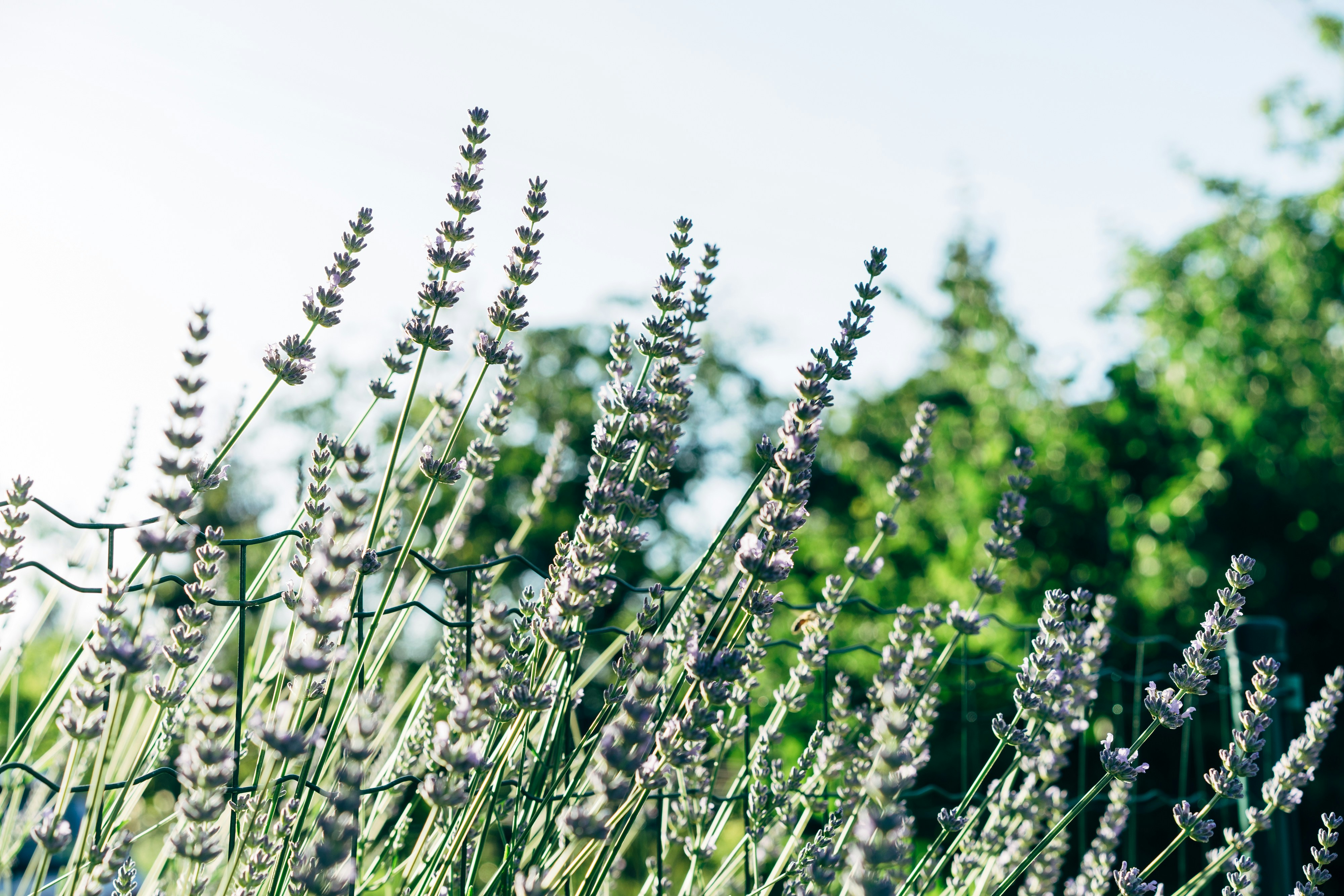 Photo by markuswinkler