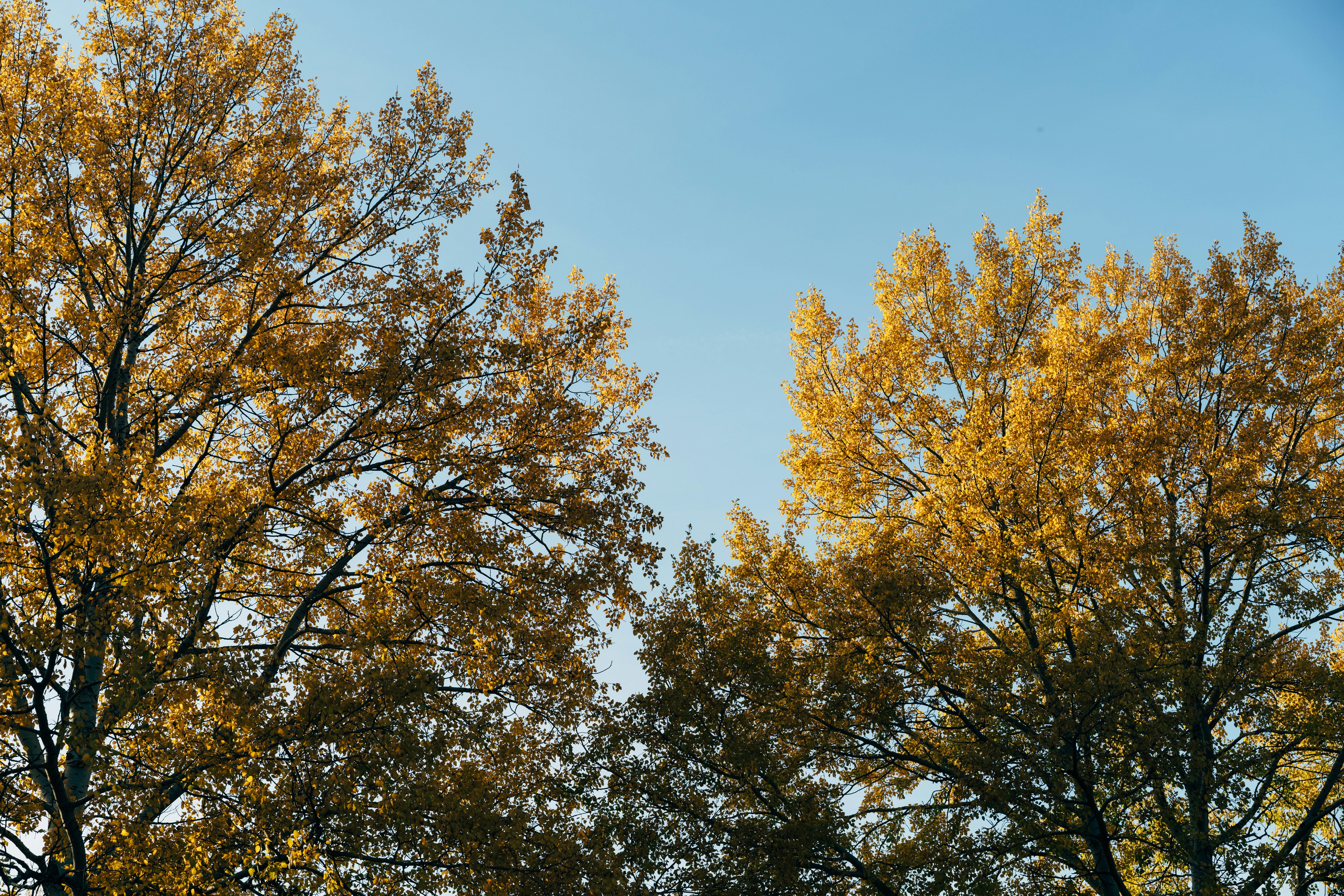 Photo by markuswinkler