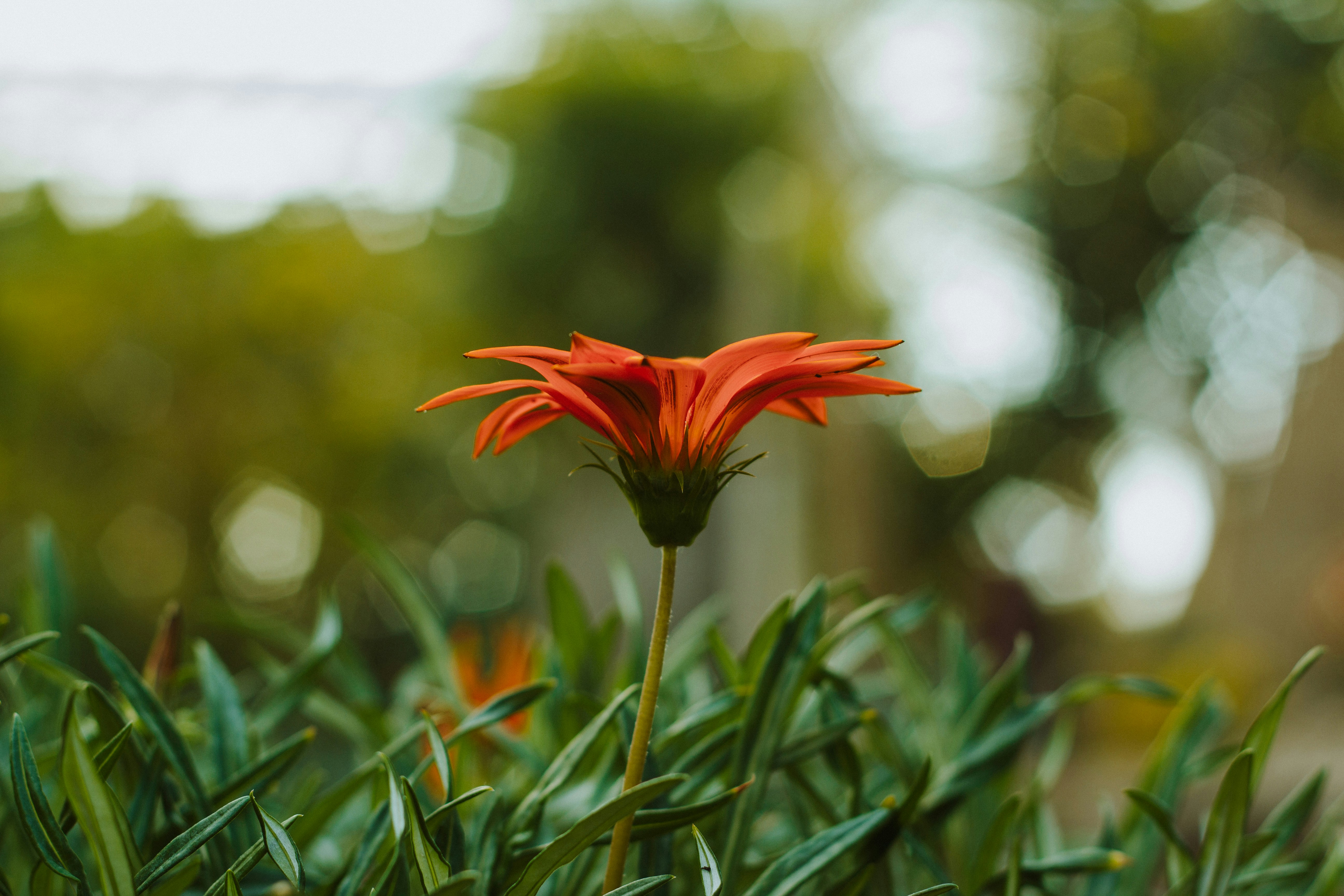 Photo by janwalterluigi