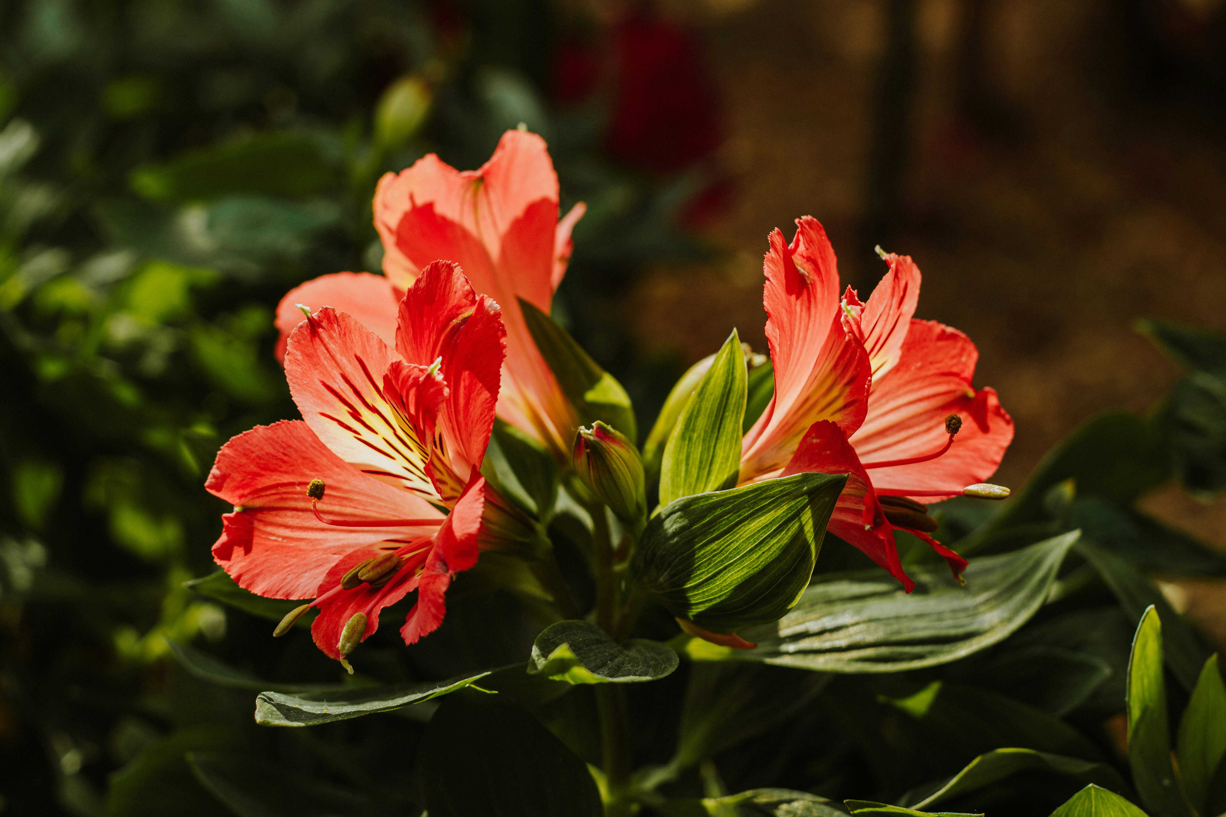 Photo by janwalterluigi