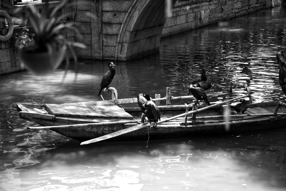 a black and white photo of birds sitting on a boat