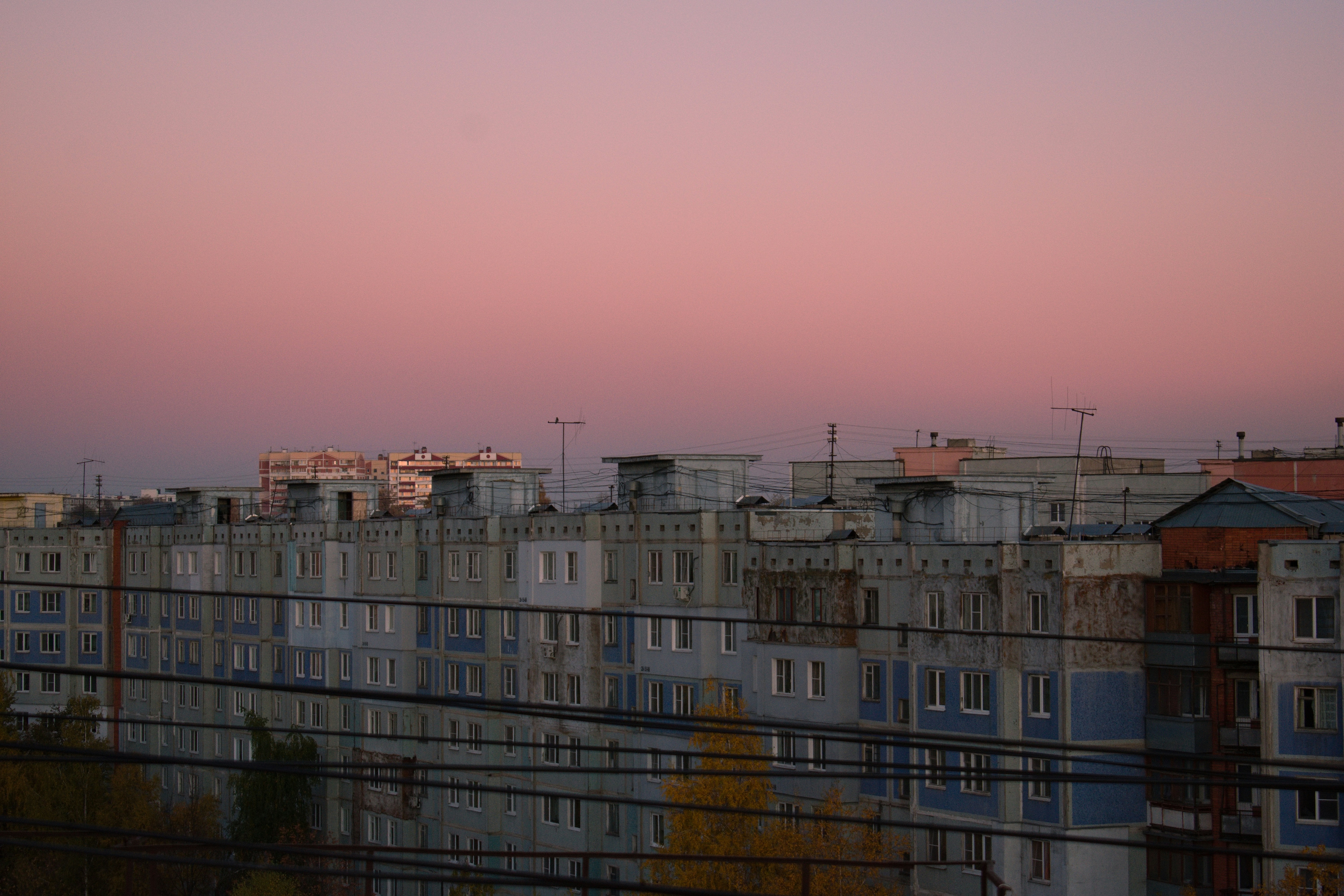 Photo by alekseenkova