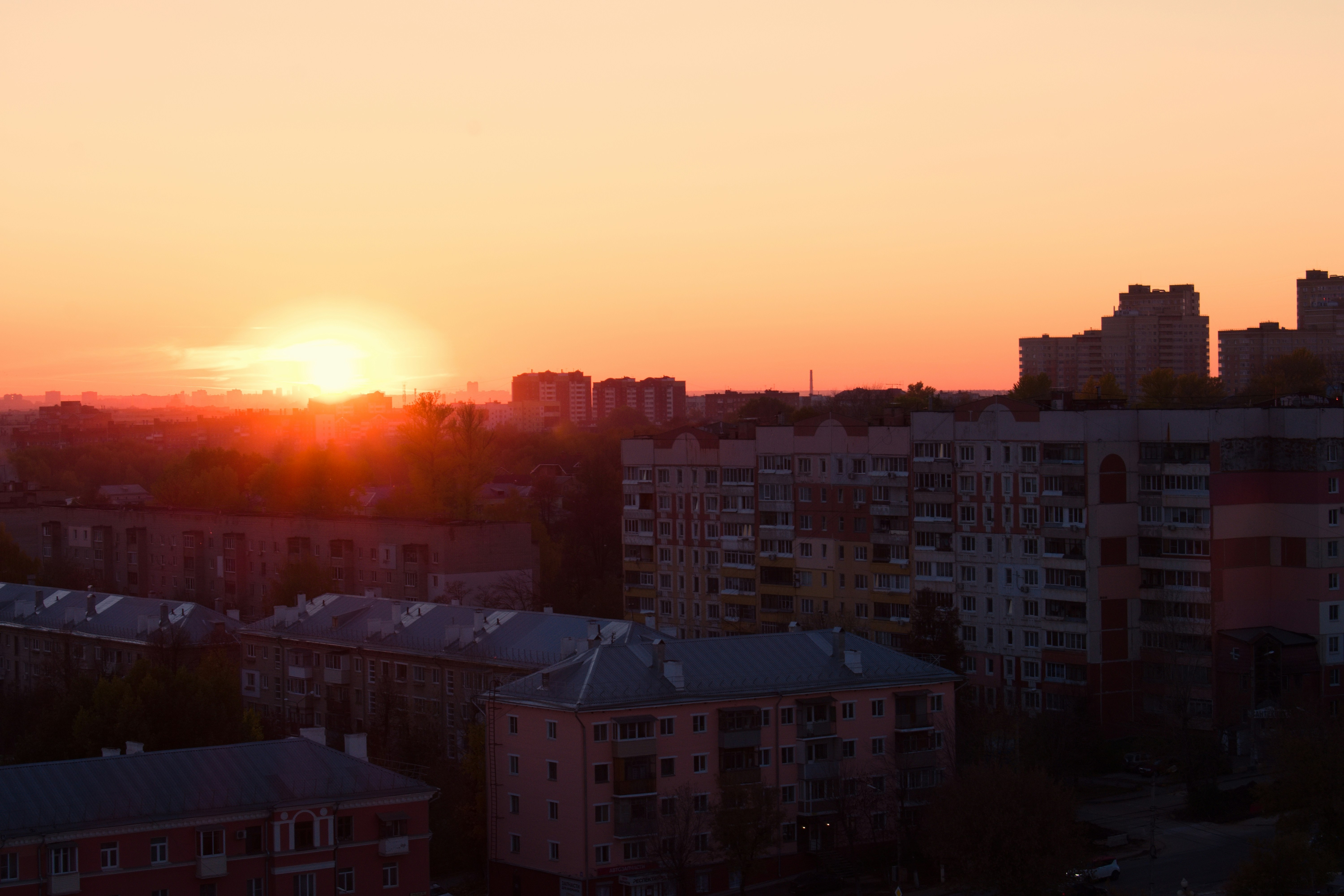 Photo by alekseenkova