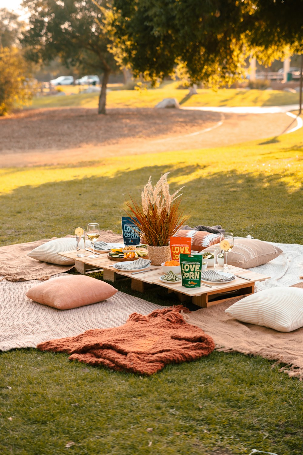 a picnic is set up on a blanket in a park