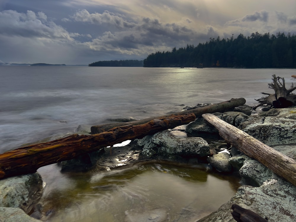 a log laying on top of a rocky beach