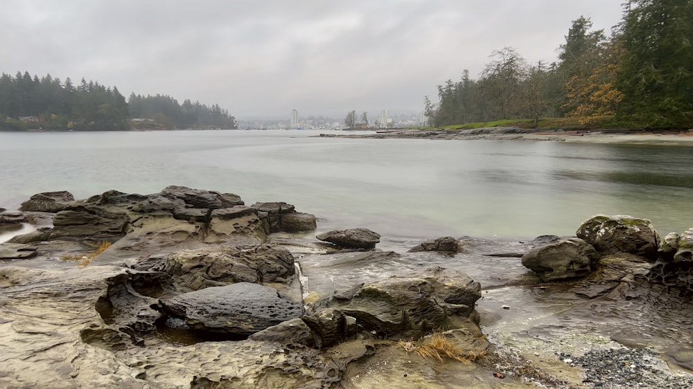 a body of water surrounded by rocks and trees