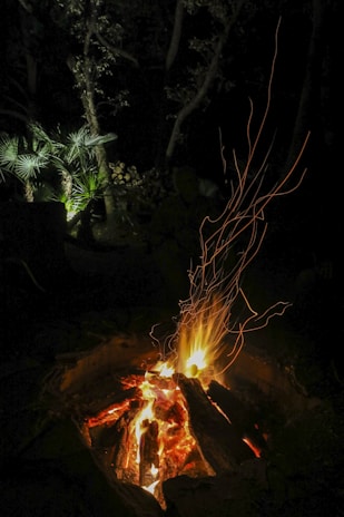a campfire is lit up in the dark