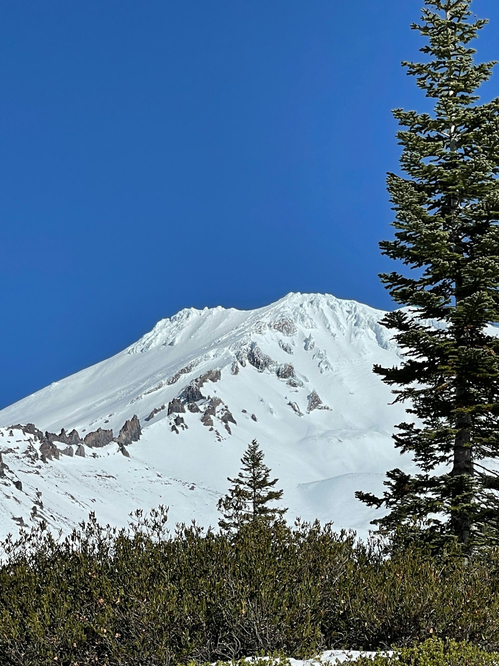 a snow covered mountain with trees in the foreground