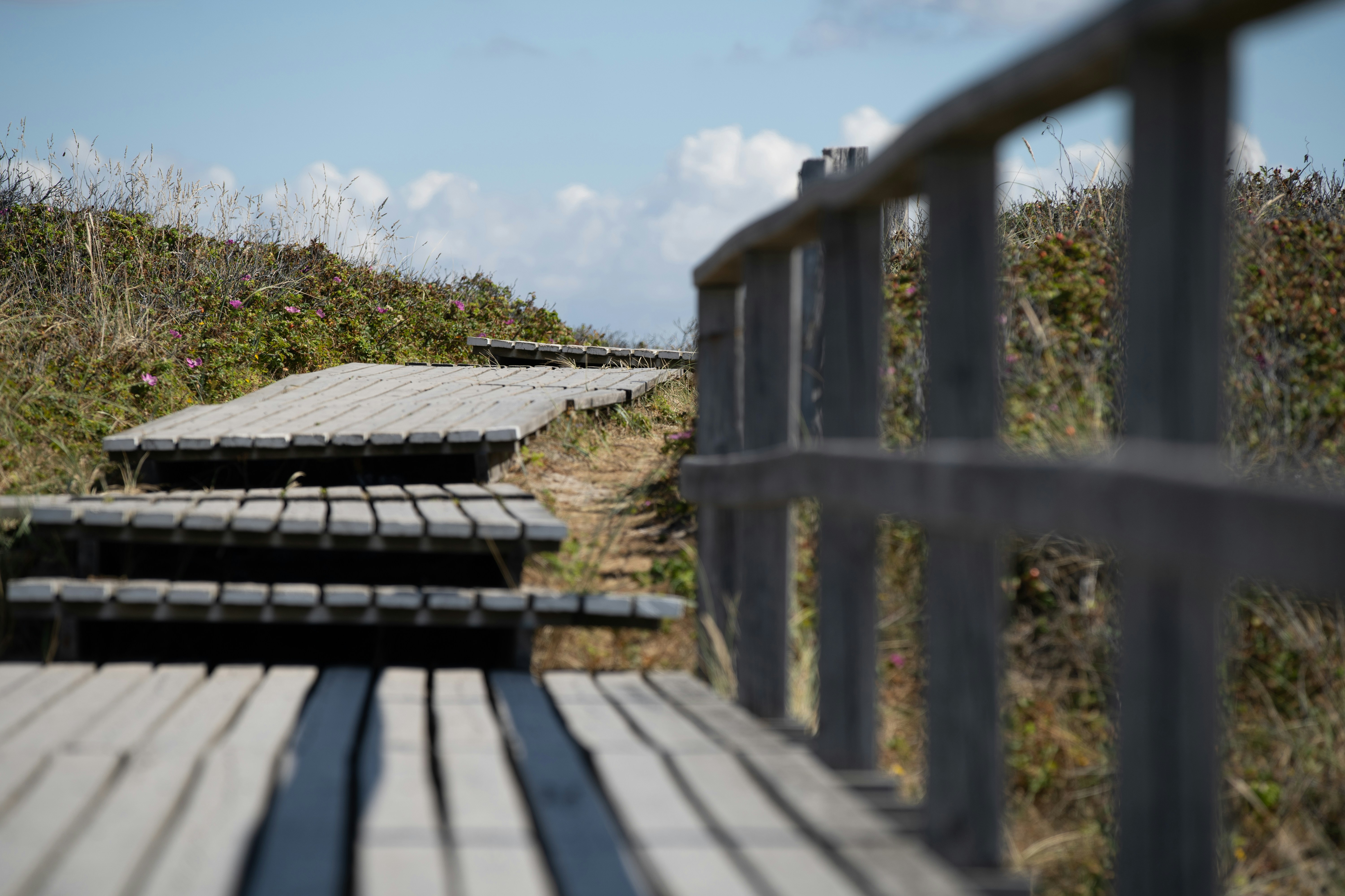 Enhance Curb Appeal with New Siding in Swampscott