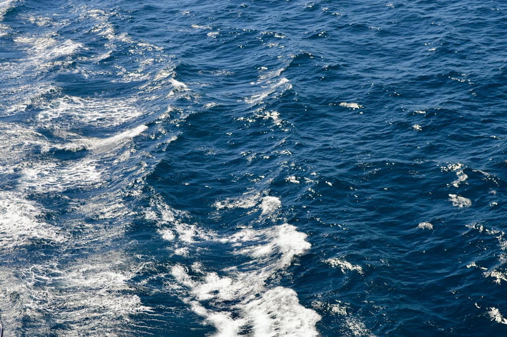 uma vista da água de um barco