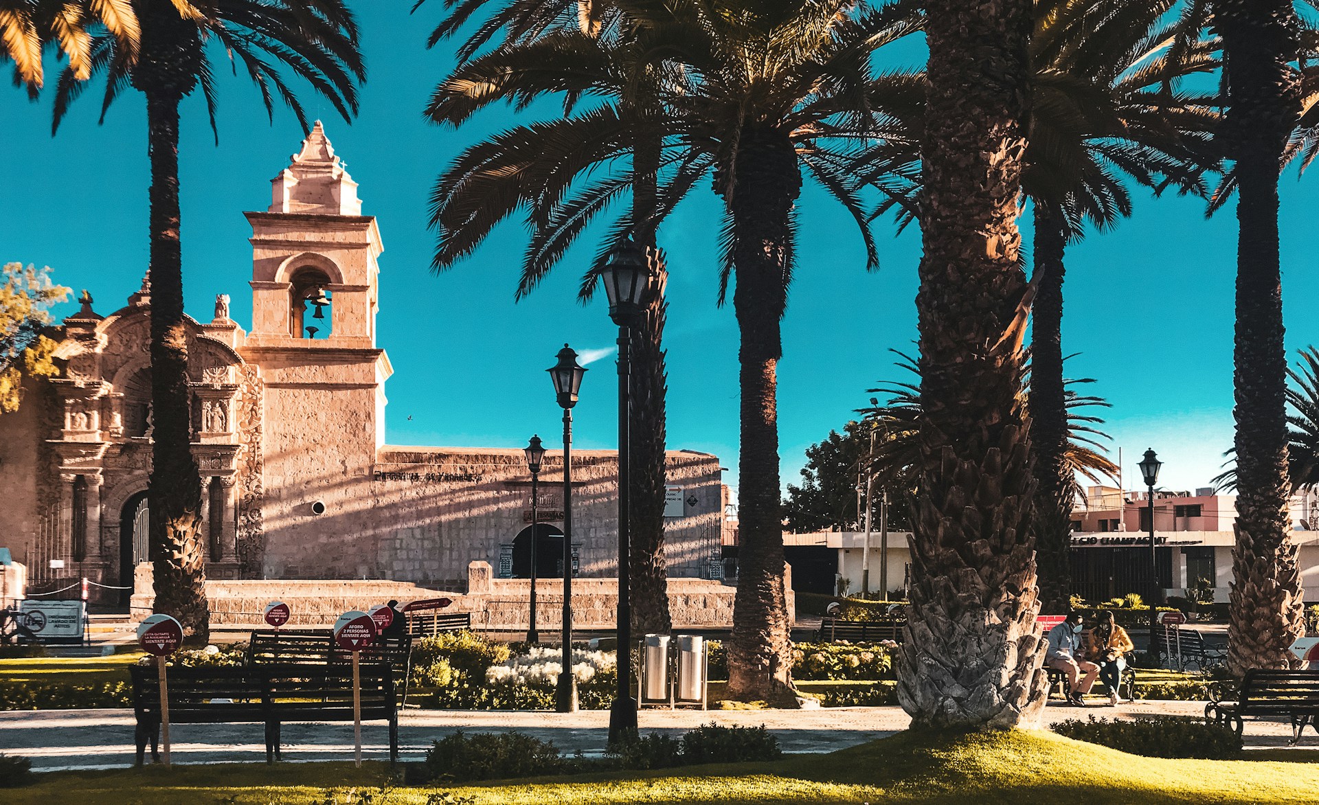 palm trees in front of a building with a clock tower