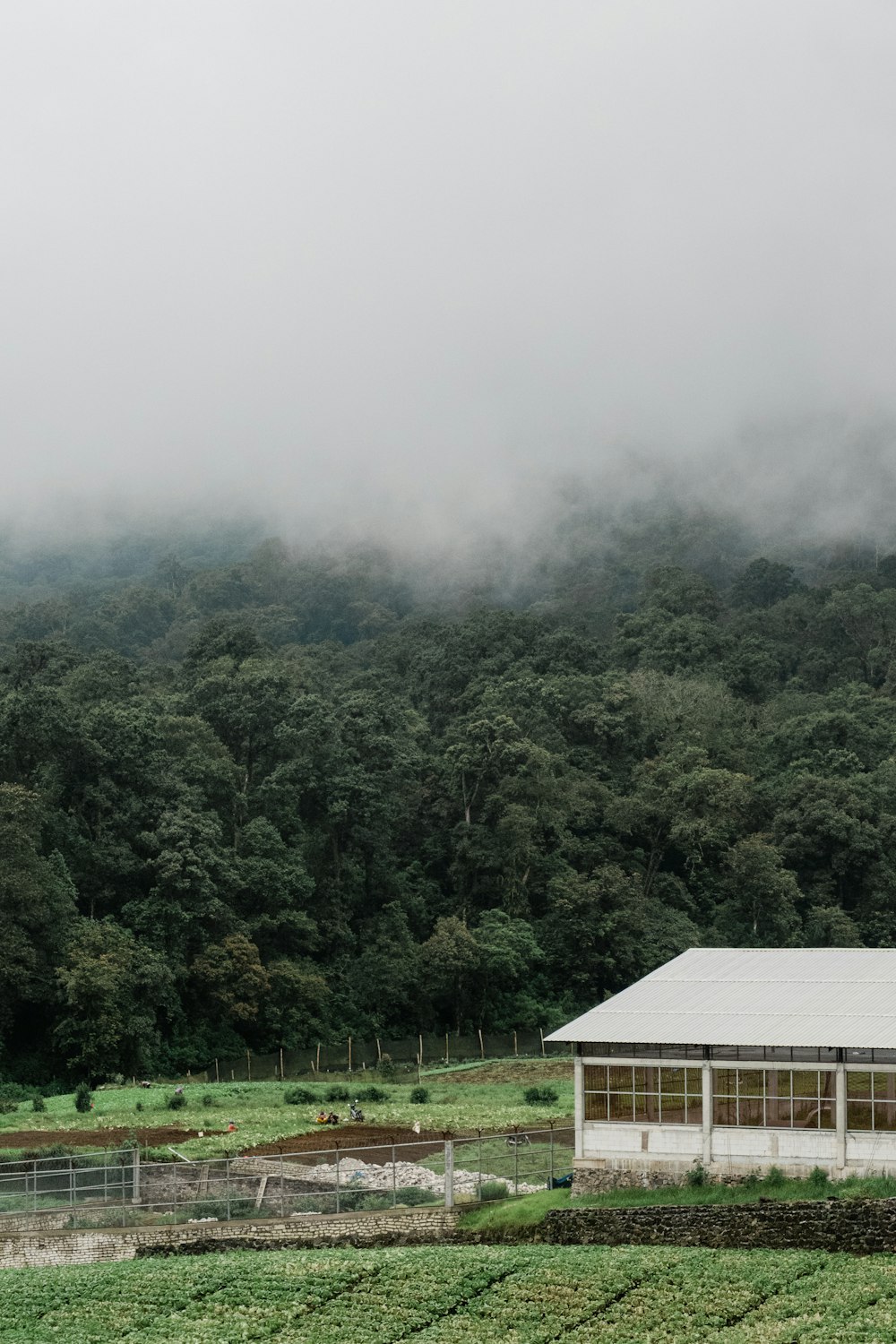 Ein Bauernhaus inmitten einer üppigen grünen Wiese