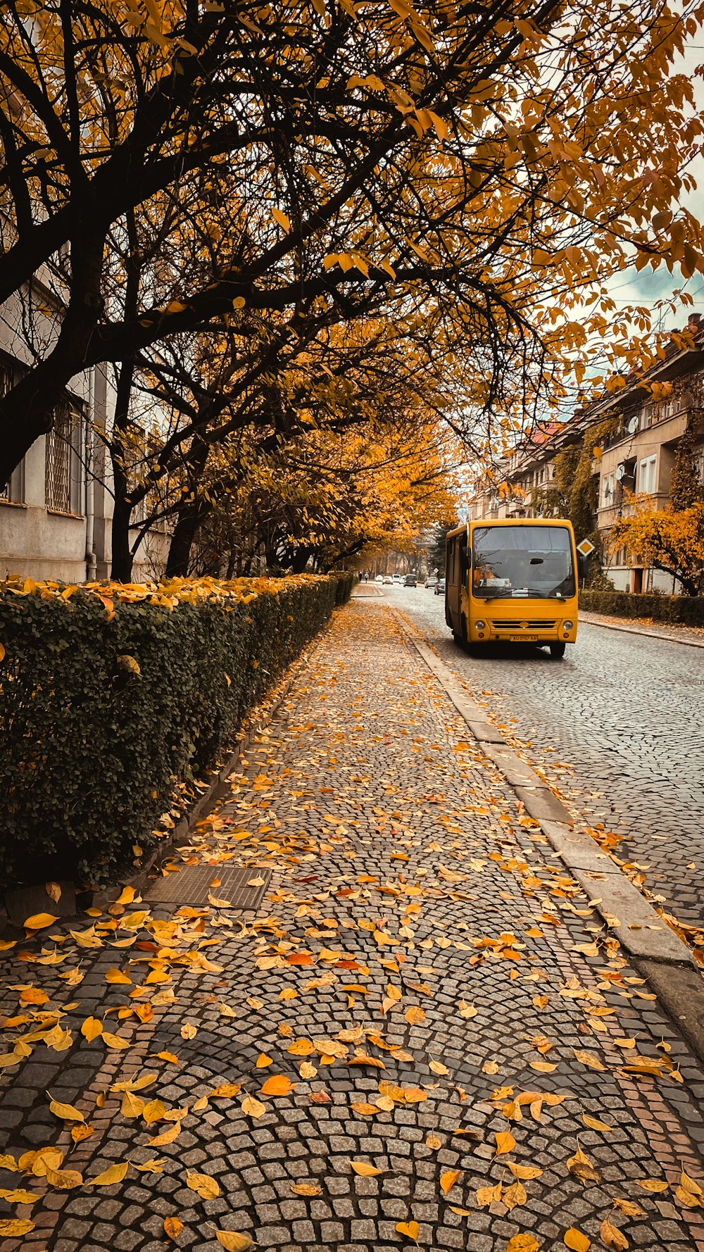 a yellow bus parked on the side of a road