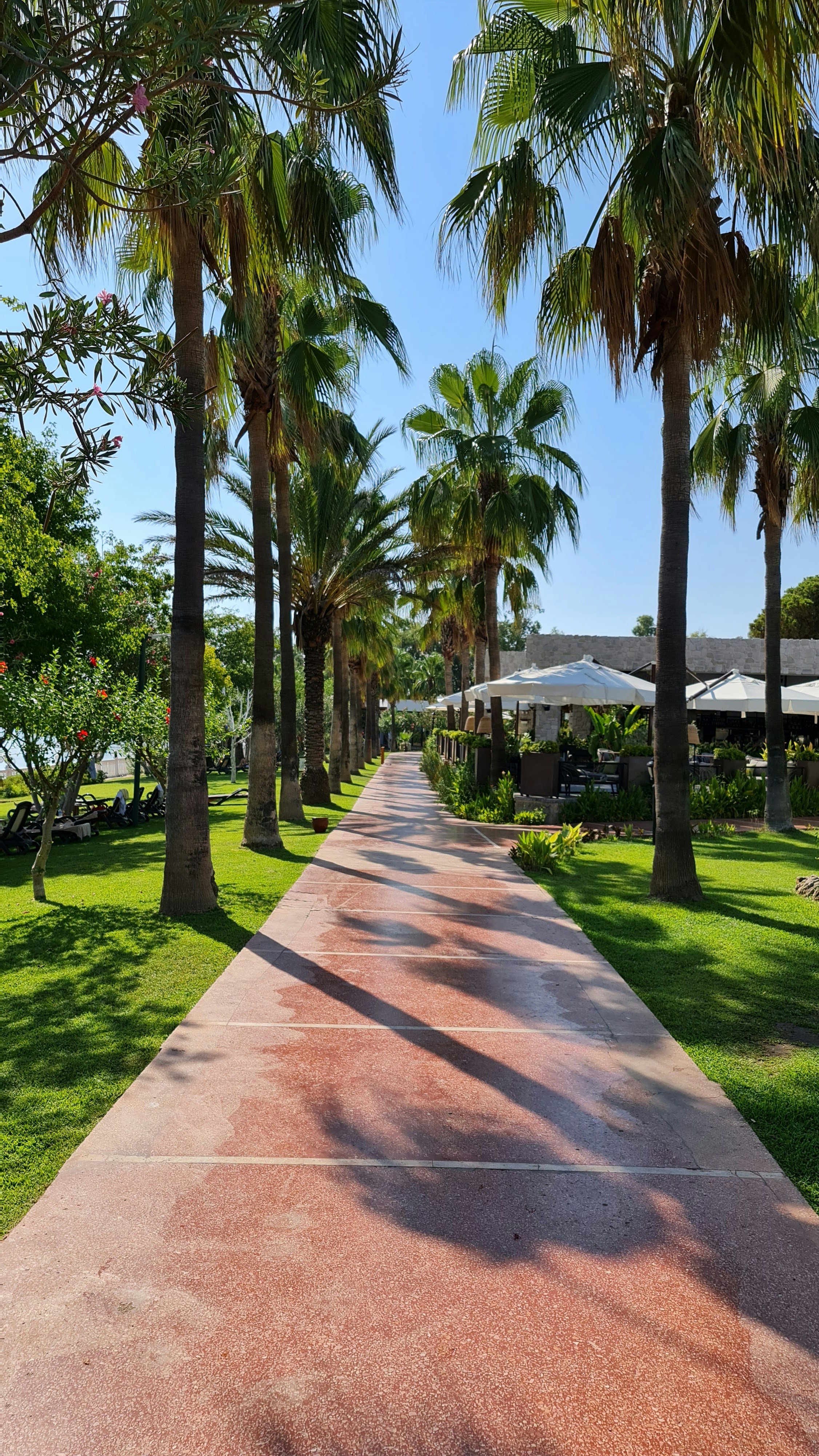 Photo by mindshifter