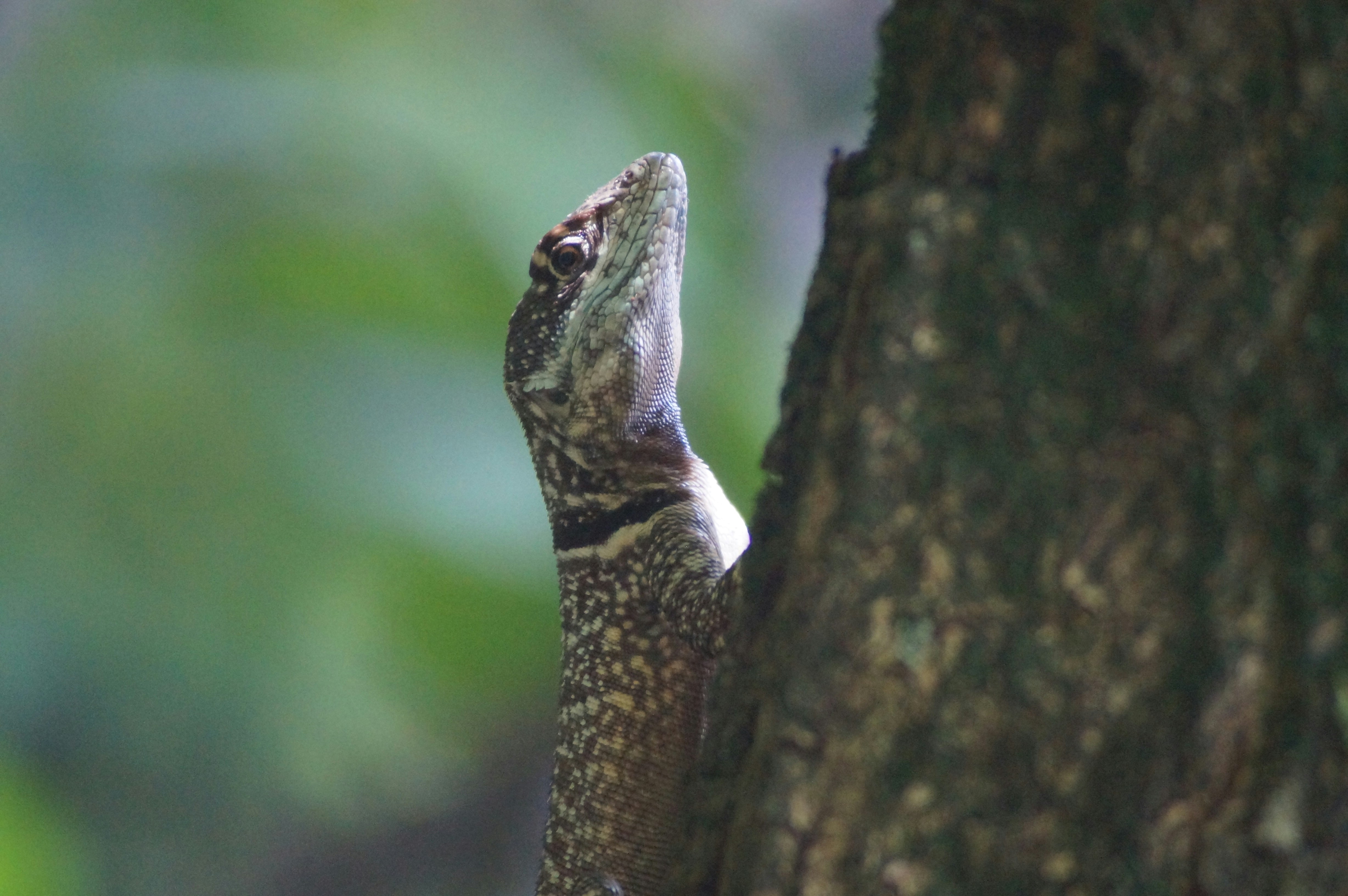 Photo by fredmachado