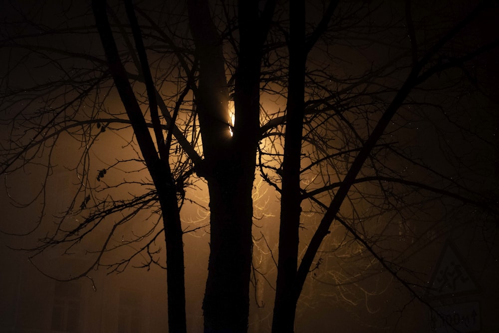 a foggy night with a street light in the distance