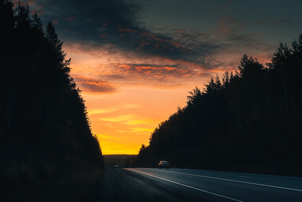 a car driving down a road next to a forest