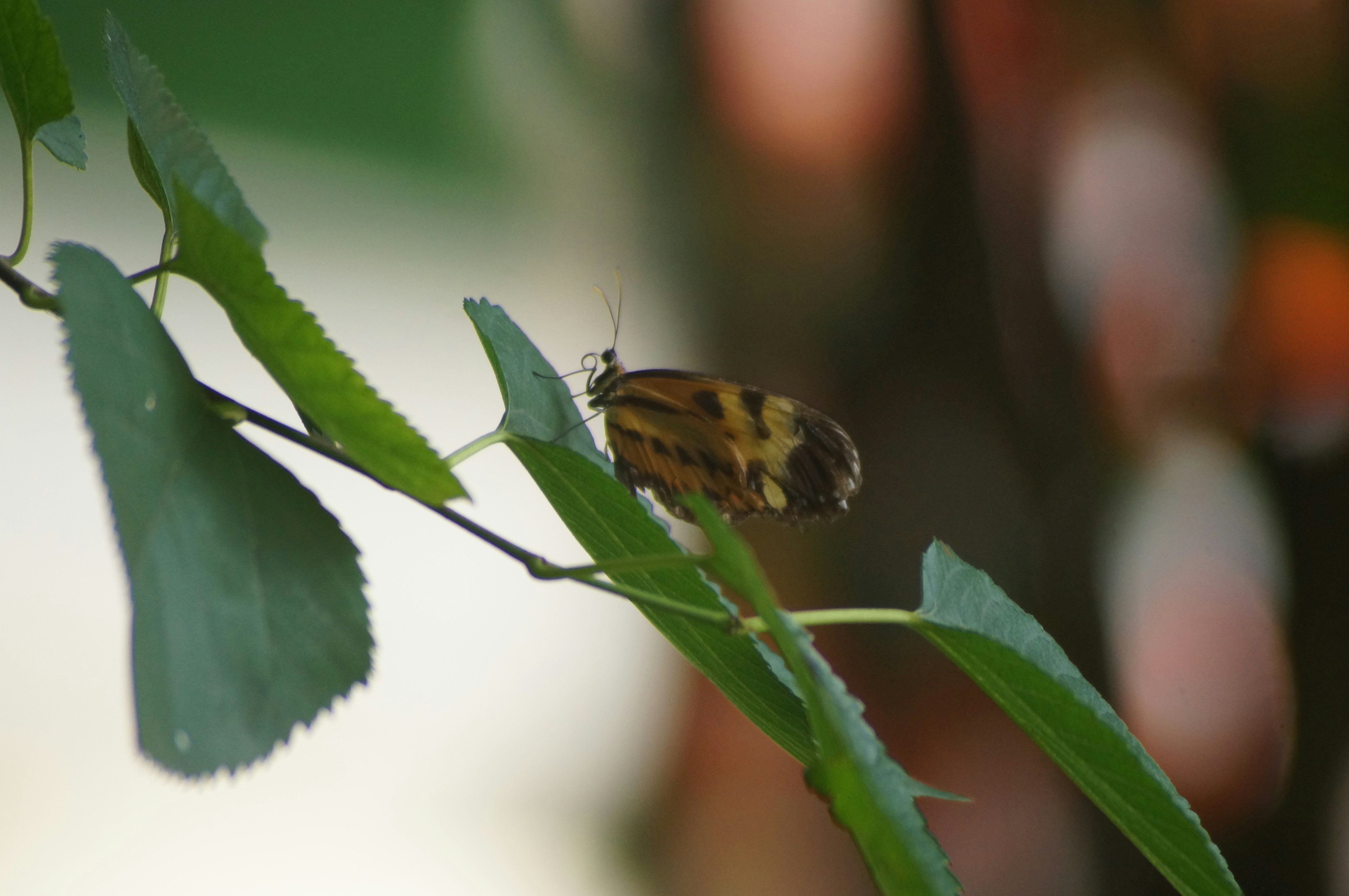 Photo by fredmachado