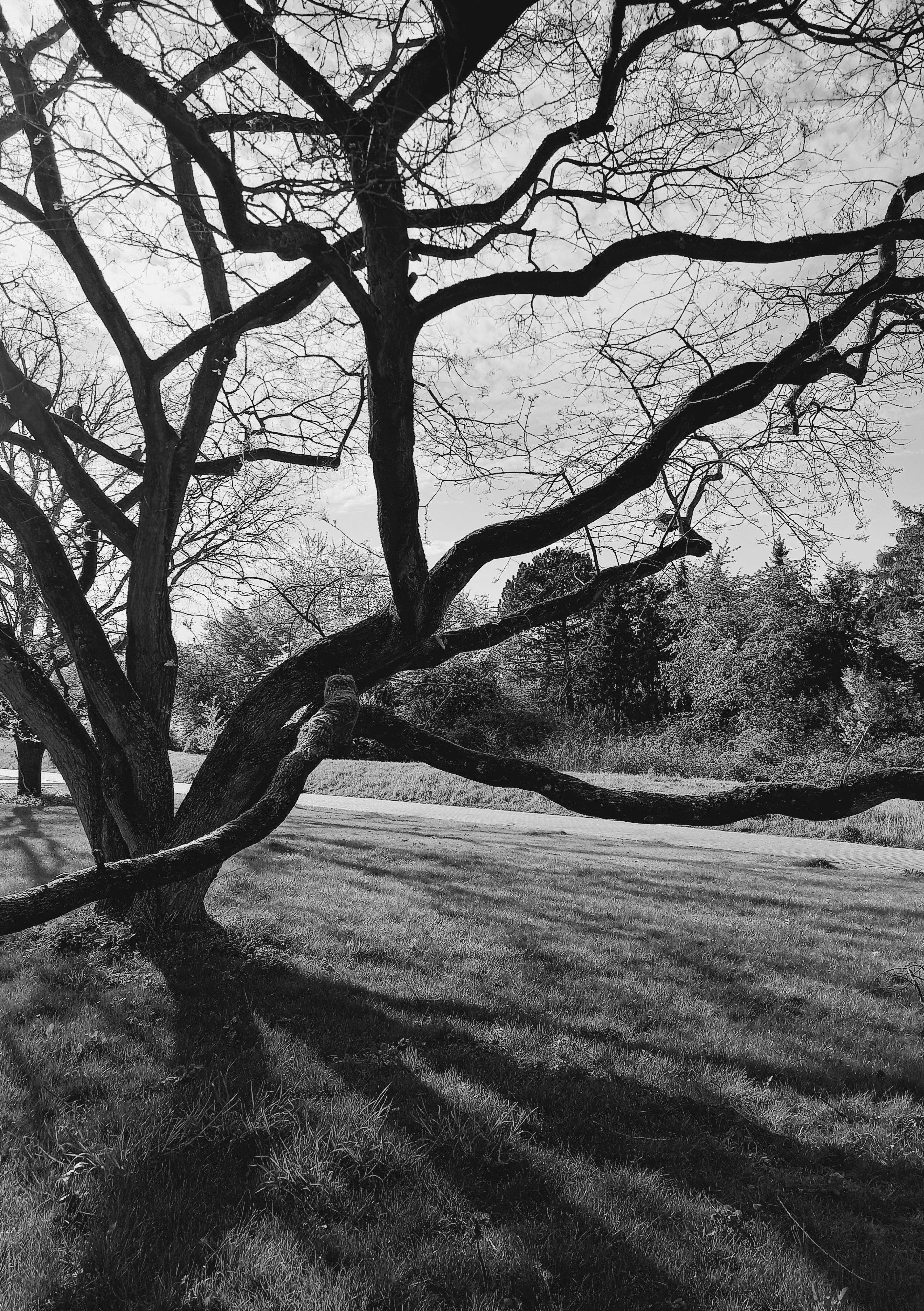 Photo by frankweichelt