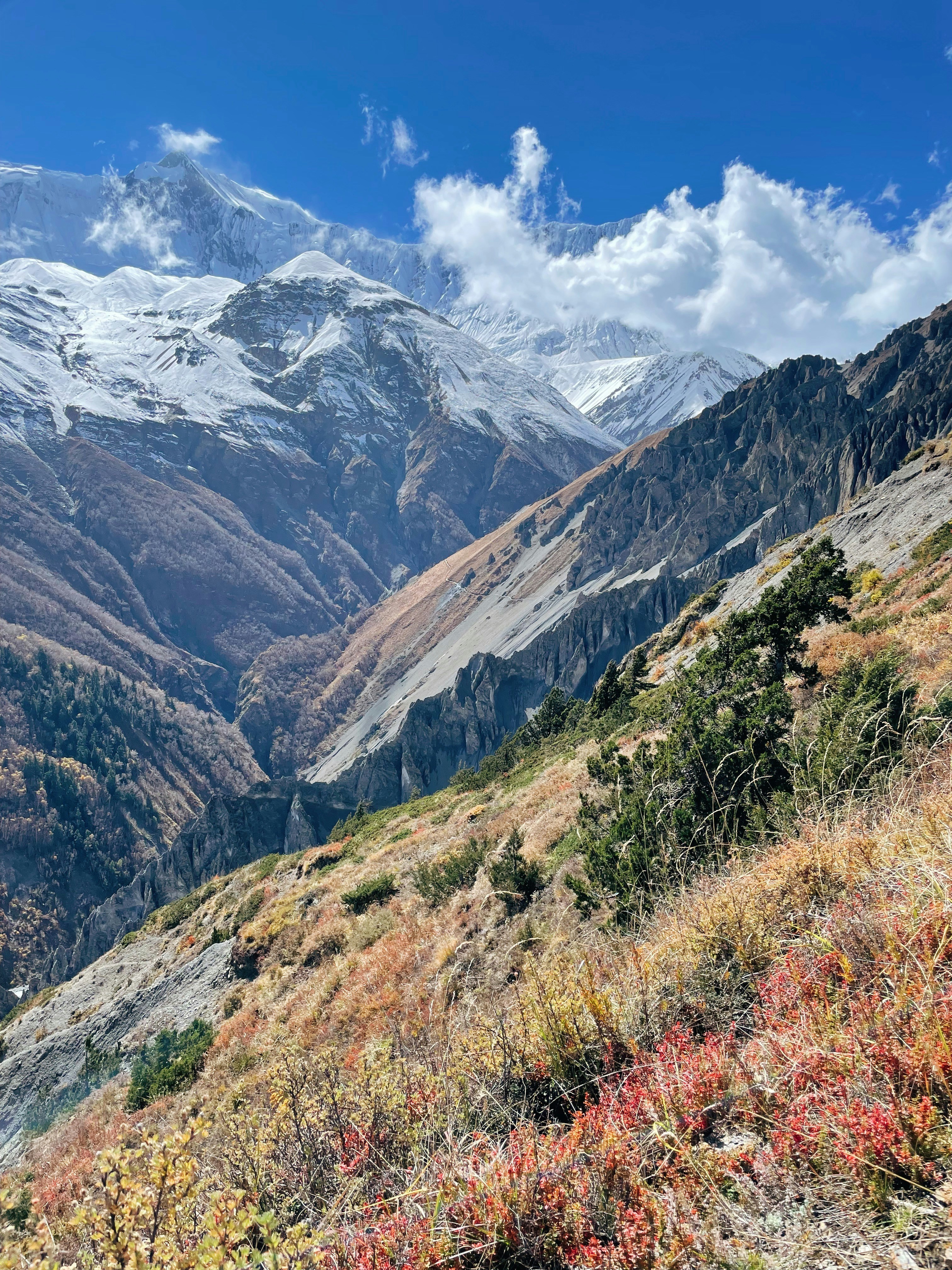 Photo by whoisrobinhood