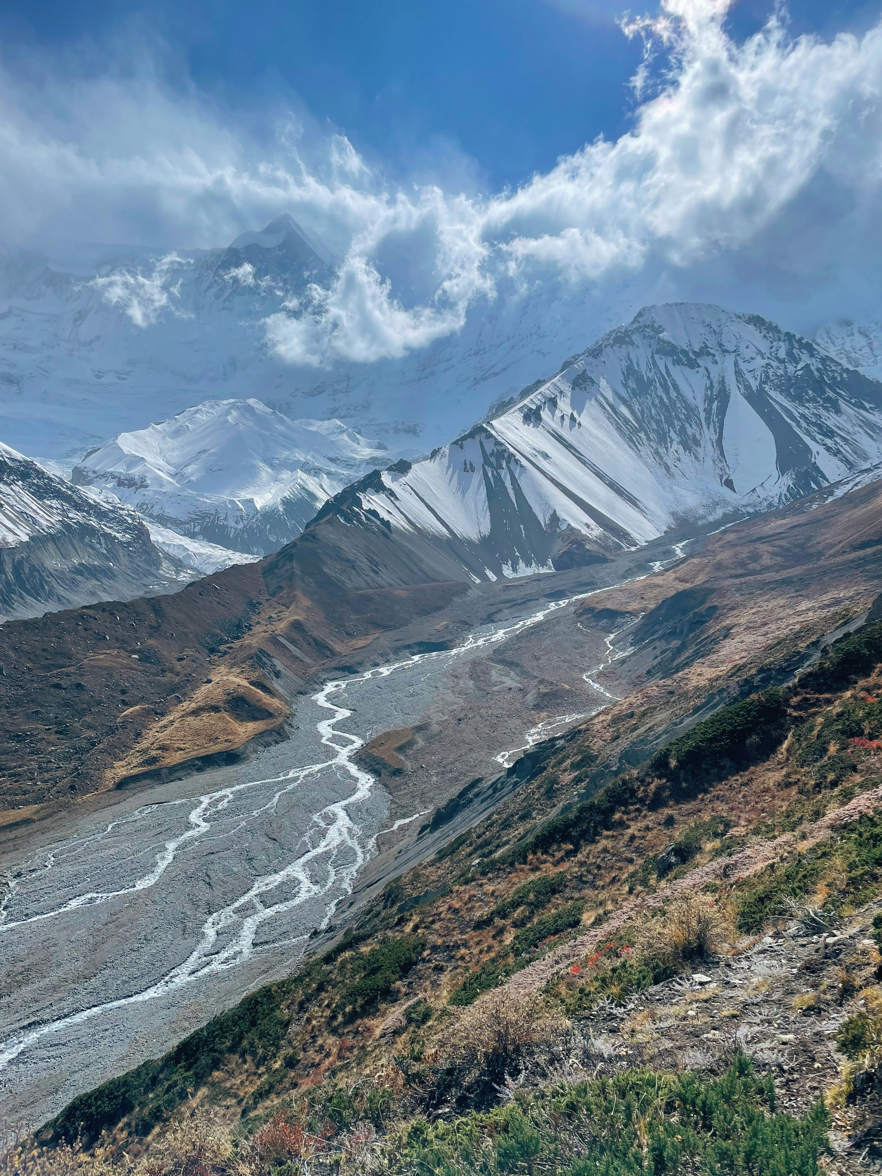 Photo by whoisrobinhood