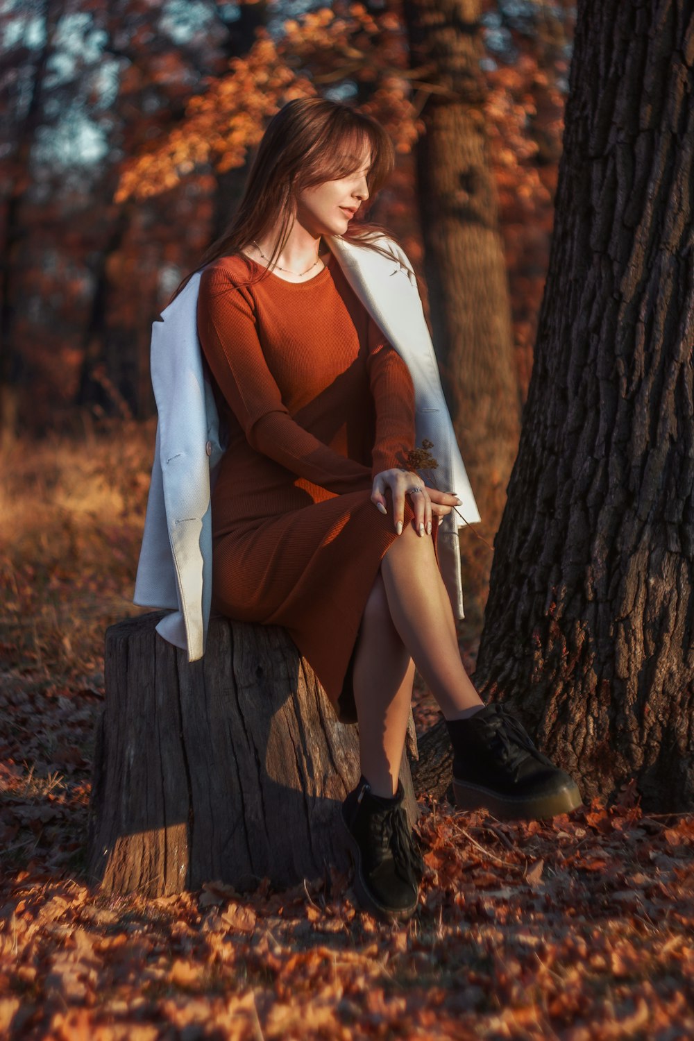 a woman sitting on top of a tree stump