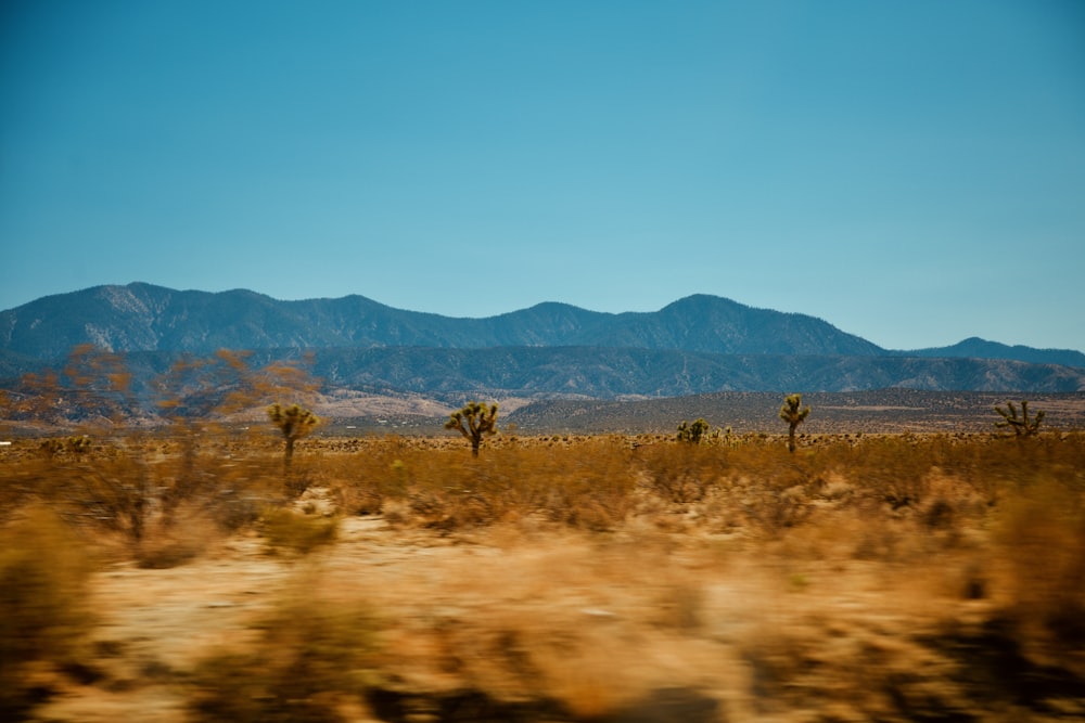 a desert landscape with mountains in the background