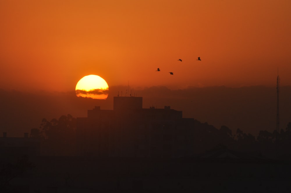 a sunset with birds flying in the sky