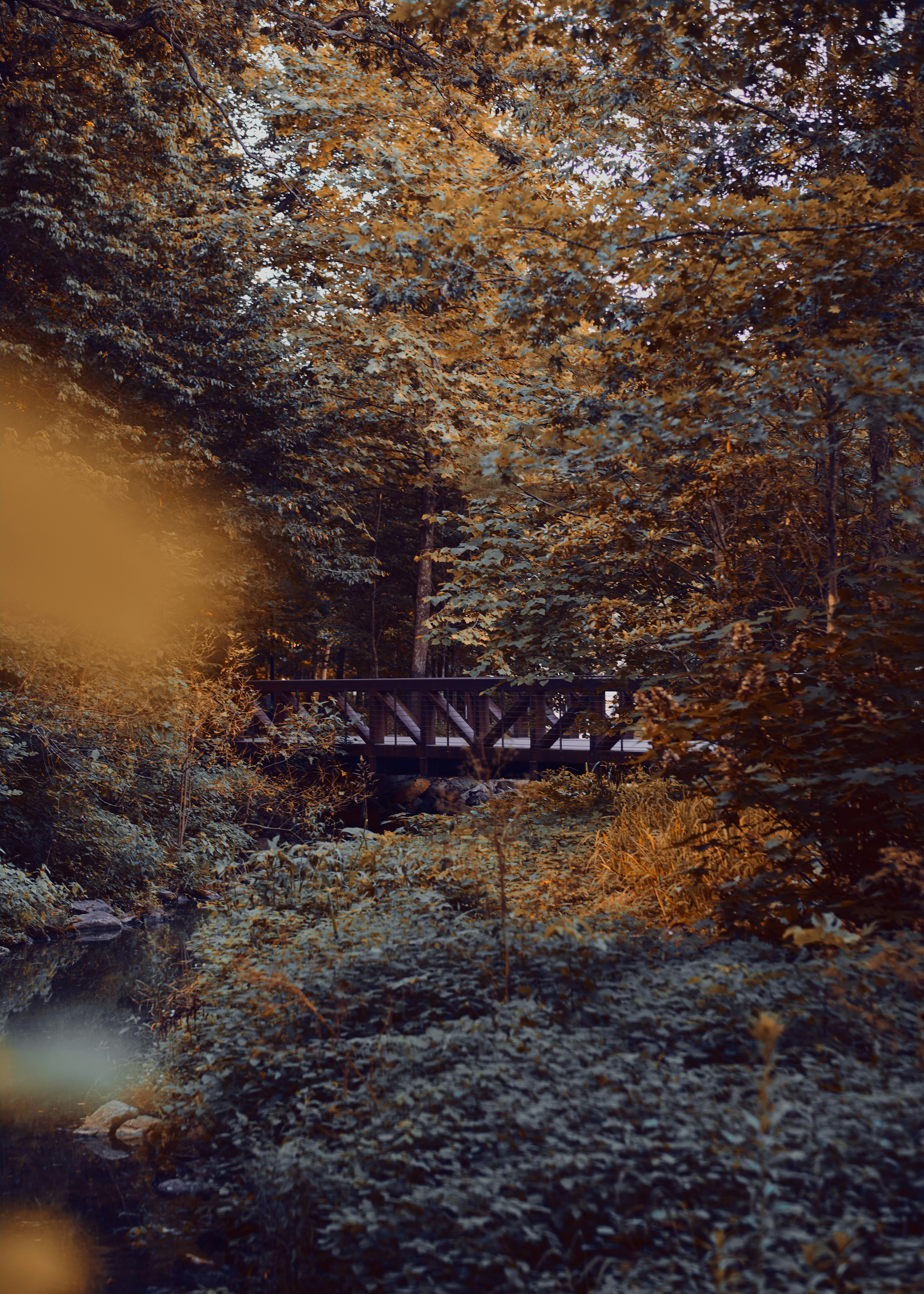 Photo by hillcountry_camera